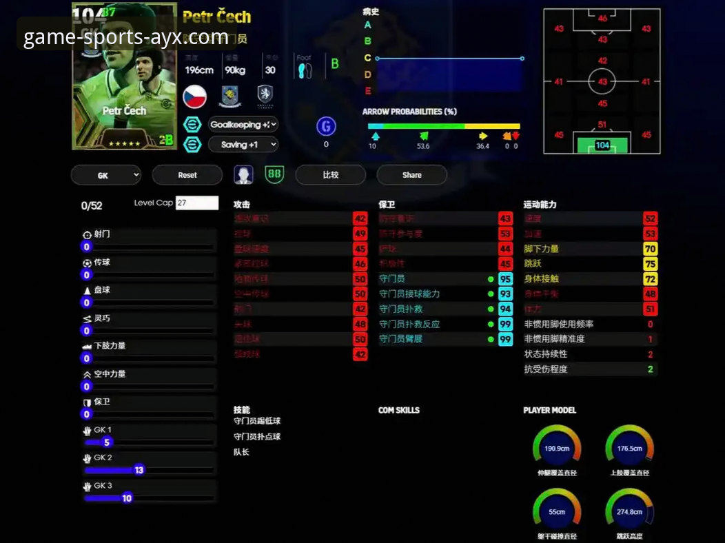 阿根廷锋线新星重伤憾别世界杯,爱游戏体育APP流畅体验赛事深度解析